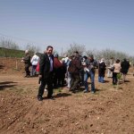 Badem Şenliği 2013