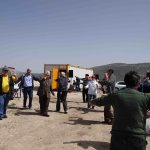 Badem Şenliği 2013